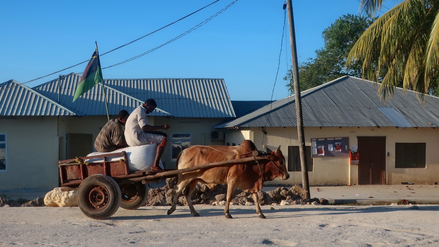 Ox cart in Mkokotoni